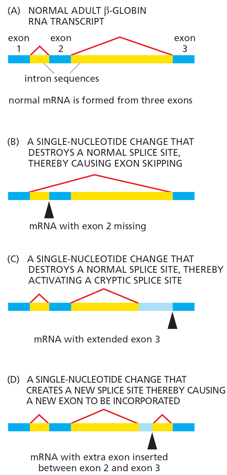 Figure 6-33.png